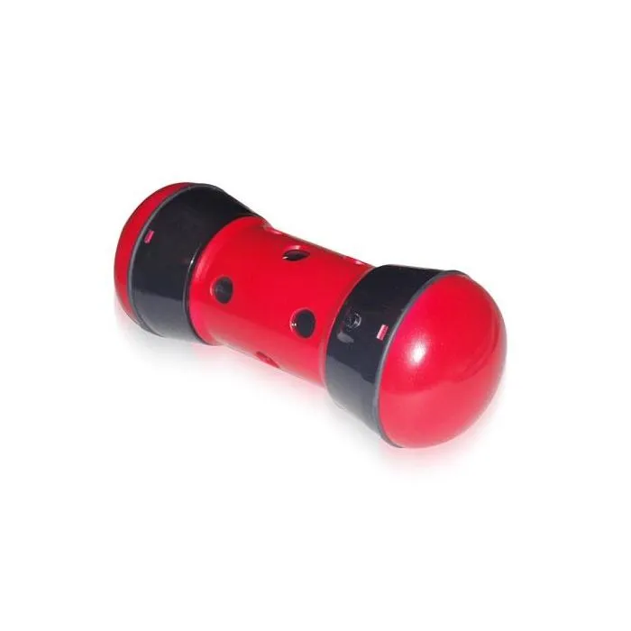 Pipolino Chien 3 Pipolino Chien