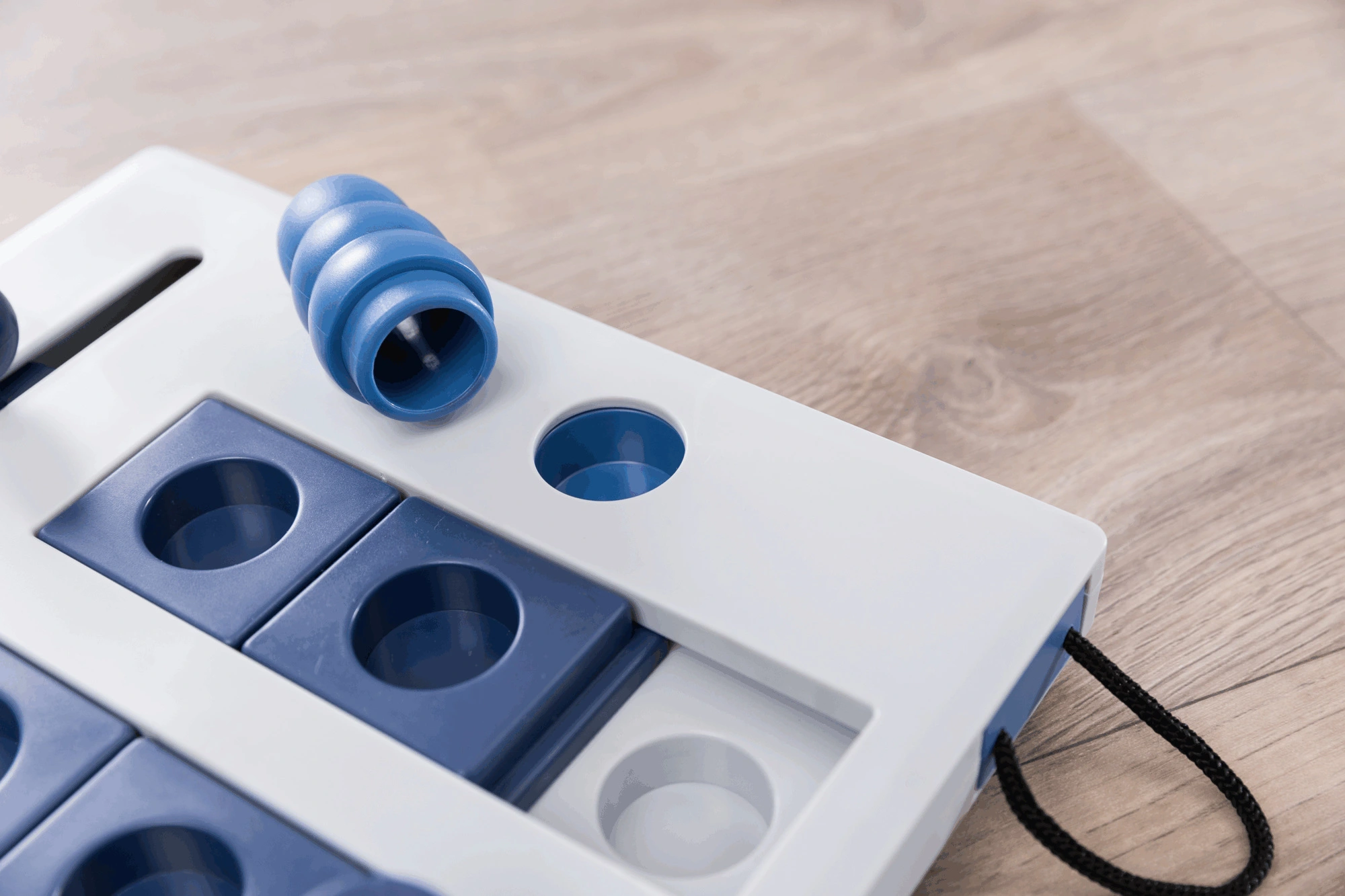 Trixie Jeu De Stratégie Pour Chien Mini Mover 25 X 20 Cm 7 Trixie Jeu De Stratégie Pour Chien Mini Mover 25 X 20 Cm – Image 5