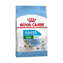 Royal Canin Mini Starter Mother & Baby Dog - 4Kg