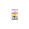 Royal Canin Dermacomfort Maxi Adult Pour Chien 12kg -ROYAL CANIN Soldes 36361d33339be008d853f47fc8526bb5e65ec02b8fb162e8de94876d9b6912c9
