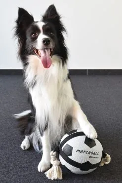 Flamingo Jouet Chien Matchball Balle De Foot 12,5cm 8 Flamingo Jouet Chien Matchball Balle De Foot 12,5cm -ROYAL CANIN Soldes 40ceb270f0ae1d84ac34a9c72537280e20e86552eaf2ba2e45995c5537755e53