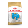 Royal Canin Jack Russel Terrier Chiot 1,5kg 2 Royal Canin Jack Russel Terrier Chiot 1,5kg -ROYAL CANIN Soldes 44bc5652061c47f1b6c8755e636fcbd05a4732a8141298701ee409a7e5d49e79