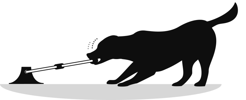 Flamingo Jouet Chien Tpr Zuki Poignée Avec Ventouse Vert 6 Flamingo Jouet Chien Tpr Zuki Poignée Avec Ventouse Vert – Image 4