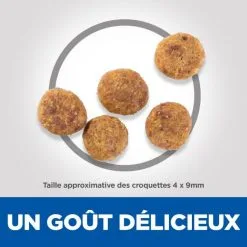 Hill's Science Plan Adult Perfect Weight Small & Mini Croquettes Pour Petit Chien Au Poulet -ROYAL CANIN Soldes 52742024783 3 science plan perfect weight chien adulte small mini croquettes poulet