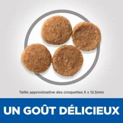 Hill's Science Plan Adult Perfect Weight Croquettes Pour Chien Medium Au Poulet -ROYAL CANIN Soldes 52742025216 5 science plan perfect weight chien adulte medium croquettes poulet