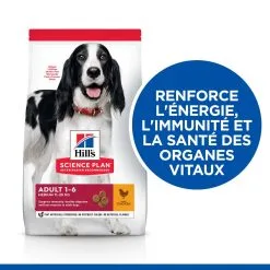 Hill's Science Plan Adult Croquettes Pour Chien Medium -ROYAL CANIN Soldes 52742025742 2 science plan chien adulte medium croquettes poulet