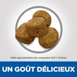 Hill's Science Plan Adult Light Croquettes Pour Chien Médium Au Poulet 14 Hill's Science Plan Adult Light Croquettes Pour Chien Médium Au Poulet -ROYAL CANIN Soldes 52742025834 4 science plan light chien adulte medium croquettes poulet