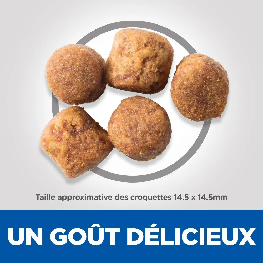 Hill's Science Plan Adult Healthy Mobility Croquettes Pour Grand Chien Au Poulet - 14Kg 7 Hill's Science Plan Adult Healthy Mobility Croquettes Pour Grand Chien Au Poulet - 14Kg – Image 5