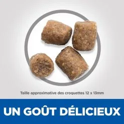 Hill's Science Plan Adult Healthy Mobility Croquettes Pour Chien Medium Au Poulet 14Kg -ROYAL CANIN Soldes 52742026138 4 science plan healthy mobility chien adulte medium croquettes poulet