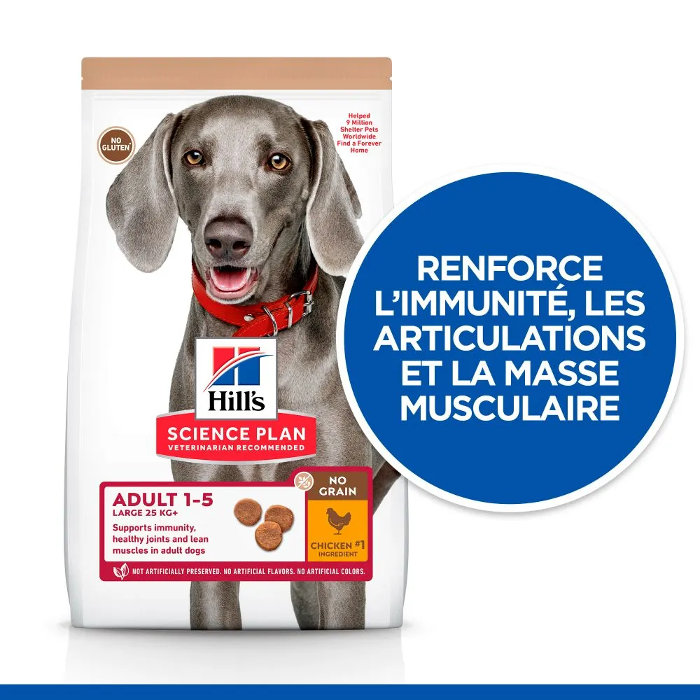 Hill's Science Plan Adult No Grain Large Breed Croquettes Sans Céréales Pour Chien Adulte De Grande Race Au Poulet - 14Kg 4 Hill's Science Plan Adult No Grain Large Breed Croquettes Sans Céréales Pour Chien Adulte De Grande Race Au Poulet - 14Kg – Image 2