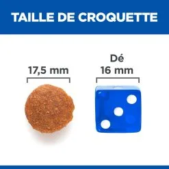 Hill's Science Plan Adult No Grain Large Breed Croquettes Sans Céréales Pour Chien Adulte De Grande Race Au Poulet - 14Kg 12 Hill's Science Plan Adult No Grain Large Breed Croquettes Sans Céréales Pour Chien Adulte De Grande Race Au Poulet - 14Kg -ROYAL CANIN Soldes 52742037233 5 science plan chien adult large no grain croquettes poulet