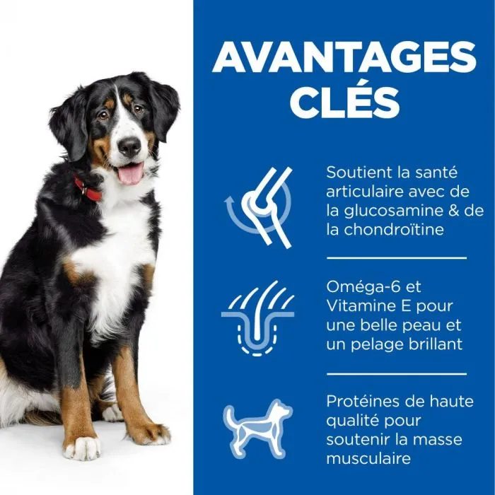 Hill's Science Plan Adult Croquettes Pour Grand Chien Au Poulet 6 Hill's Science Plan Adult Croquettes Pour Grand Chien Au Poulet – Image 4