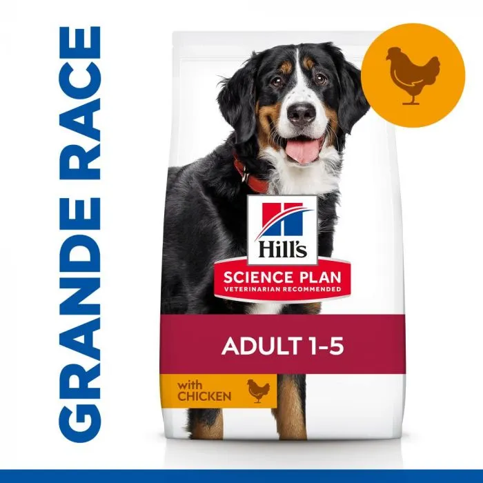 Hill's Science Plan Adult Croquettes Pour Grand Chien Au Poulet 8 Hill's Science Plan Adult Croquettes Pour Grand Chien Au Poulet – Image 6