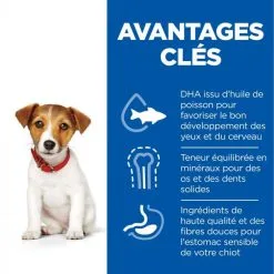 Hill's Science Plan Puppy Small & Mini Croquettes Pour Chiot De Petite Taille Au Poulet 10 Hill's Science Plan Puppy Small & Mini Croquettes Pour Chiot De Petite Taille Au Poulet -ROYAL CANIN Soldes 52742281803 2 science plan chiot small mini croquettes poulet