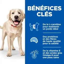 Hill's Science Plan Adult Light Croquettes Pour Grand Chien Au Poulet 13 Hill's Science Plan Adult Light Croquettes Pour Grand Chien Au Poulet -ROYAL CANIN Soldes 52742296005 3 science plan chien adulte large light croquettes poulet