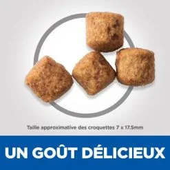 Hill's Science Plan Adult Light Croquettes Pour Grand Chien Au Poulet 16 Hill's Science Plan Adult Light Croquettes Pour Grand Chien Au Poulet -ROYAL CANIN Soldes 52742296005 5 science plan chien adulte large light croquettes poulet