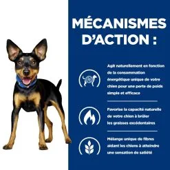 Hill's Prescription Diet Metabolic Croquettes Pour Petit Chien Au Poulet 14 Hill's Prescription Diet Metabolic Croquettes Pour Petit Chien Au Poulet -ROYAL CANIN Soldes 52742335414 5 prescription diet chien metabolic mini croquettes poulet