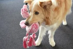 Flamingo Jouet Chien Peluche Andes Flamant Rose 36cm 7 Flamingo Jouet Chien Peluche Andes Flamant Rose 36cm -ROYAL CANIN Soldes 59a0c0ed05d8e60fa38cfb290af5000afa4efce633f5d30f7346fc0677a72acb