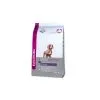Eukanuba Dachshund (Teckel) Pour Chien 2,5kg 2 Eukanuba Dachshund (Teckel) Pour Chien 2,5kg -ROYAL CANIN Soldes 61411 pla eukanuba dachshund 2 5kg 2