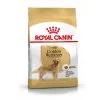 Royal Canin Golden Retriever Adult Pour Chien 3kg -ROYAL CANIN Soldes 62ede3a73a82c649d5c0fdc7da97bd67cd6b338c8fd2b1353f32ddabbd1cc401