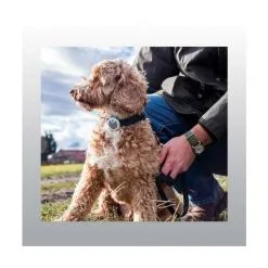 Animo Tracker D'activitÃ©s