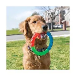 Jouet Kong Twistz Ring Pour Chien - Taille S -ROYAL CANIN Soldes 7f05a7c33b3325047be4e11c78bd90b7760356ae