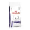 Royal Canin Chien Dental Small Dog 1 Royal Canin Chien Dental Small Dog -ROYAL CANIN Soldes 861440ef24a7215e1f4ead18b299e79bbc91454cace0ebc0f32dd31039109a21