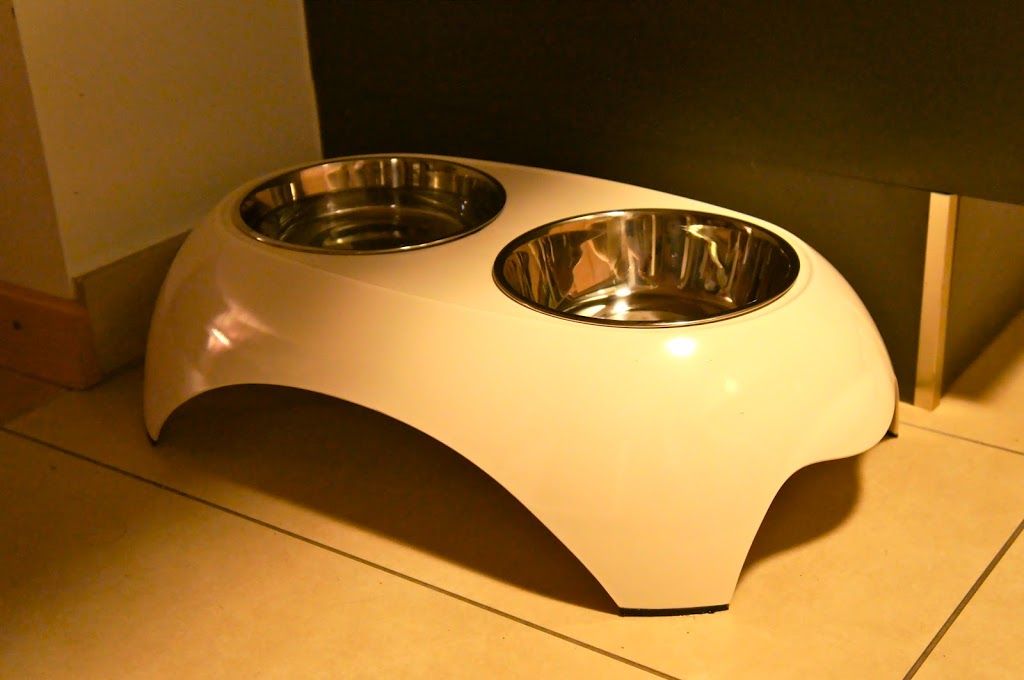 KONG Soldes -ROYAL CANIN Soldes DSC06089