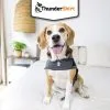 Body Anti Stress Thundershirt -ROYAL CANIN Soldes Thundershirt MI 1