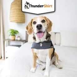 Body Anti Stress Thundershirt