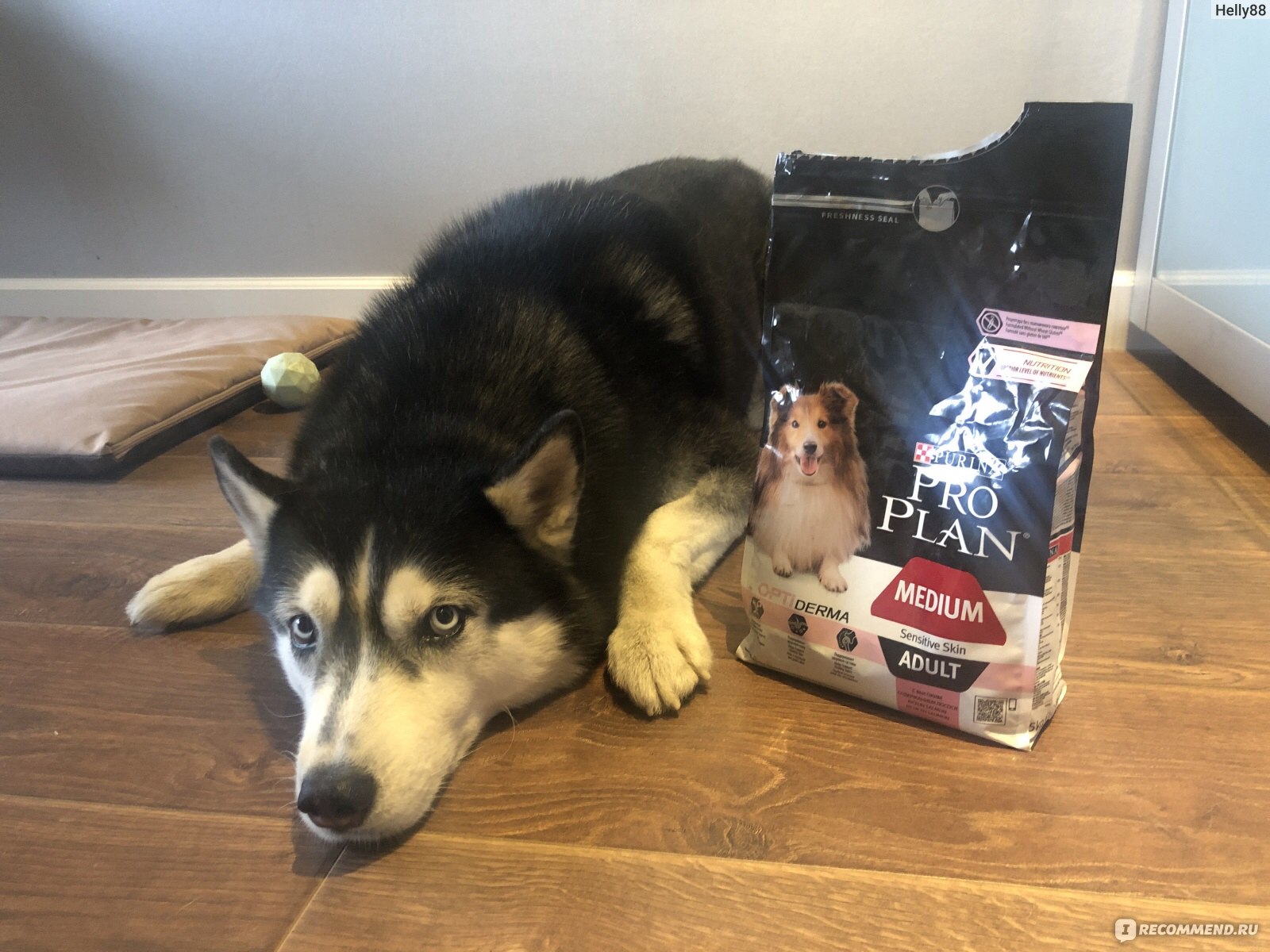 KONG Soldes -ROYAL CANIN Soldes USaqO0ZtikCYCeGqf9IA