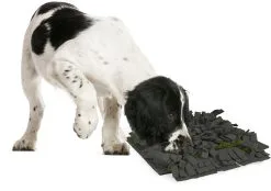 Flamingo Tapis à Renifler Amigo Rectangulaire + Fermeture Eclair Gris/vert 40x50cm 11 Flamingo Tapis à Renifler Amigo Rectangulaire + Fermeture Eclair Gris/vert 40x50cm -ROYAL CANIN Soldes a775a03a816b5a96e49c58cd3ecbc26540a84574cd16c3ba95abf6994148d0f2