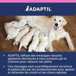 Adaptil Junior Collier (46,5cm) 17 Adaptil Junior Collier (46,5cm) -ROYAL CANIN Soldes adaptil collier junior 6 FR
