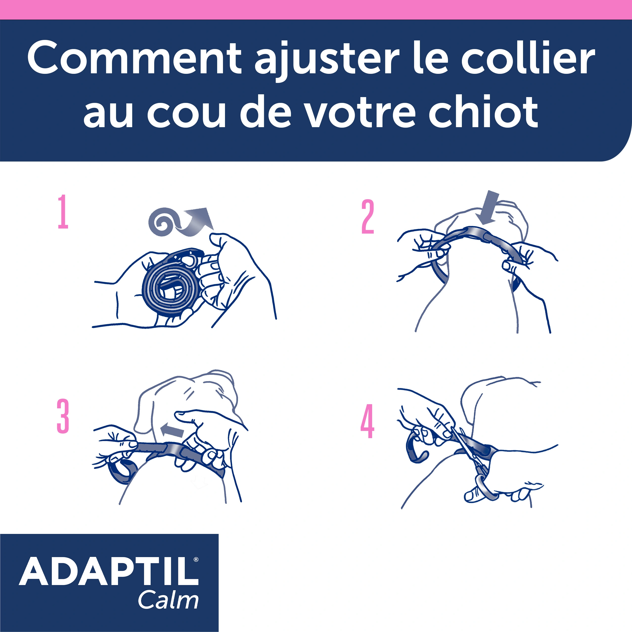 Adaptil Junior Collier (46,5cm) 7 Adaptil Junior Collier (46,5cm) – Image 6