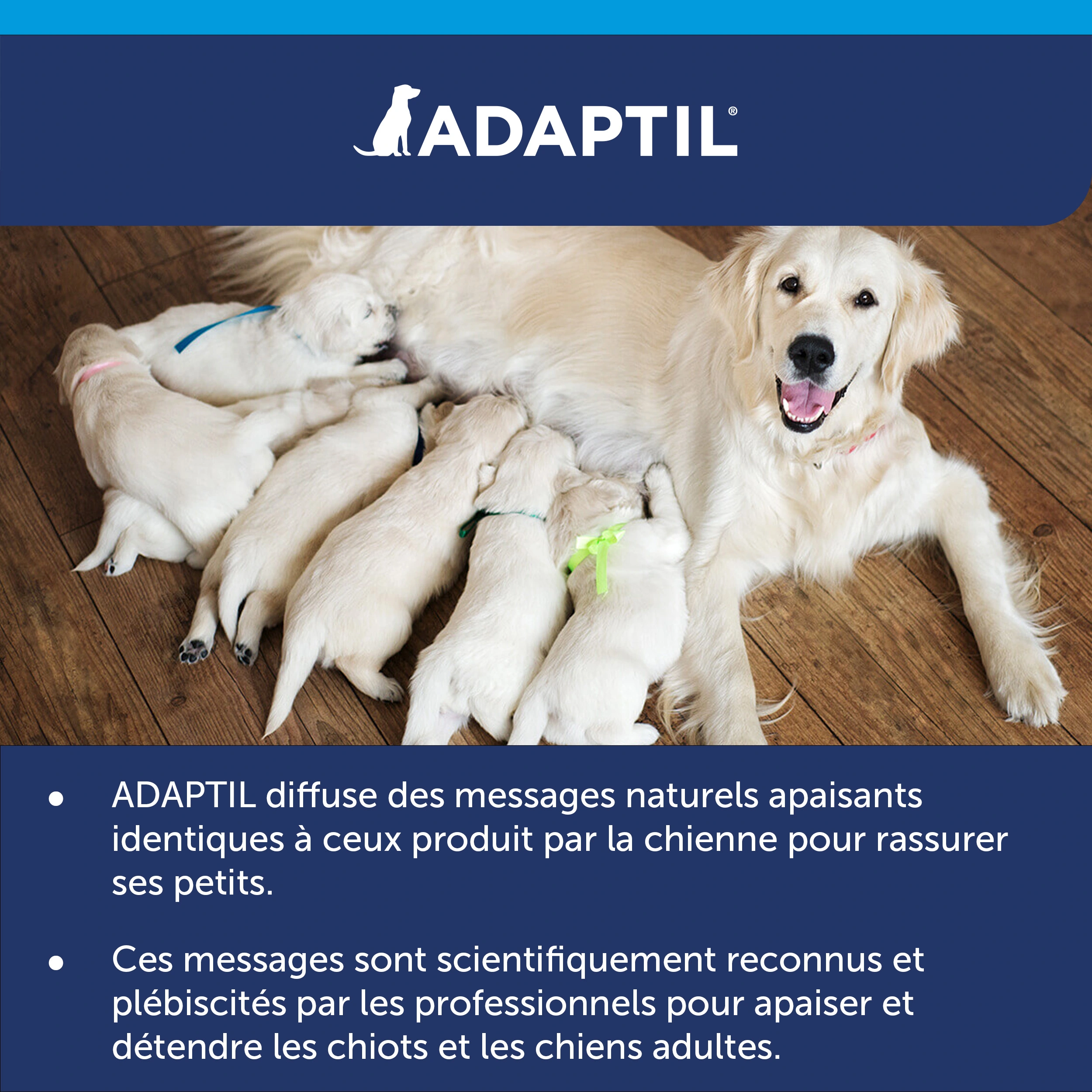 Diffuseur Adaptil Calm 11 Diffuseur Adaptil Calm – Image 9