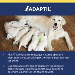 ADAPTIL SPRAY TRANSPORT 20ML -ROYAL CANIN Soldes adaptil spray 5 FR