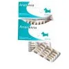 ISOVIA ANANXIVIA Chat Et Petit Chien 10 Blisters De 15 Gélules 2 ISOVIA ANANXIVIA Chat Et Petit Chien 10 Blisters De 15 Gélules -ROYAL CANIN Soldes ananxivia cat and small dog.jpg 1