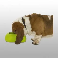 Buster Gamelle Incredibowl 9 Buster Gamelle Incredibowl -ROYAL CANIN Soldes b7db7eb0627be48e1161fb24e8121baeec2f2b6161bf624f19777e80bde9c2c9