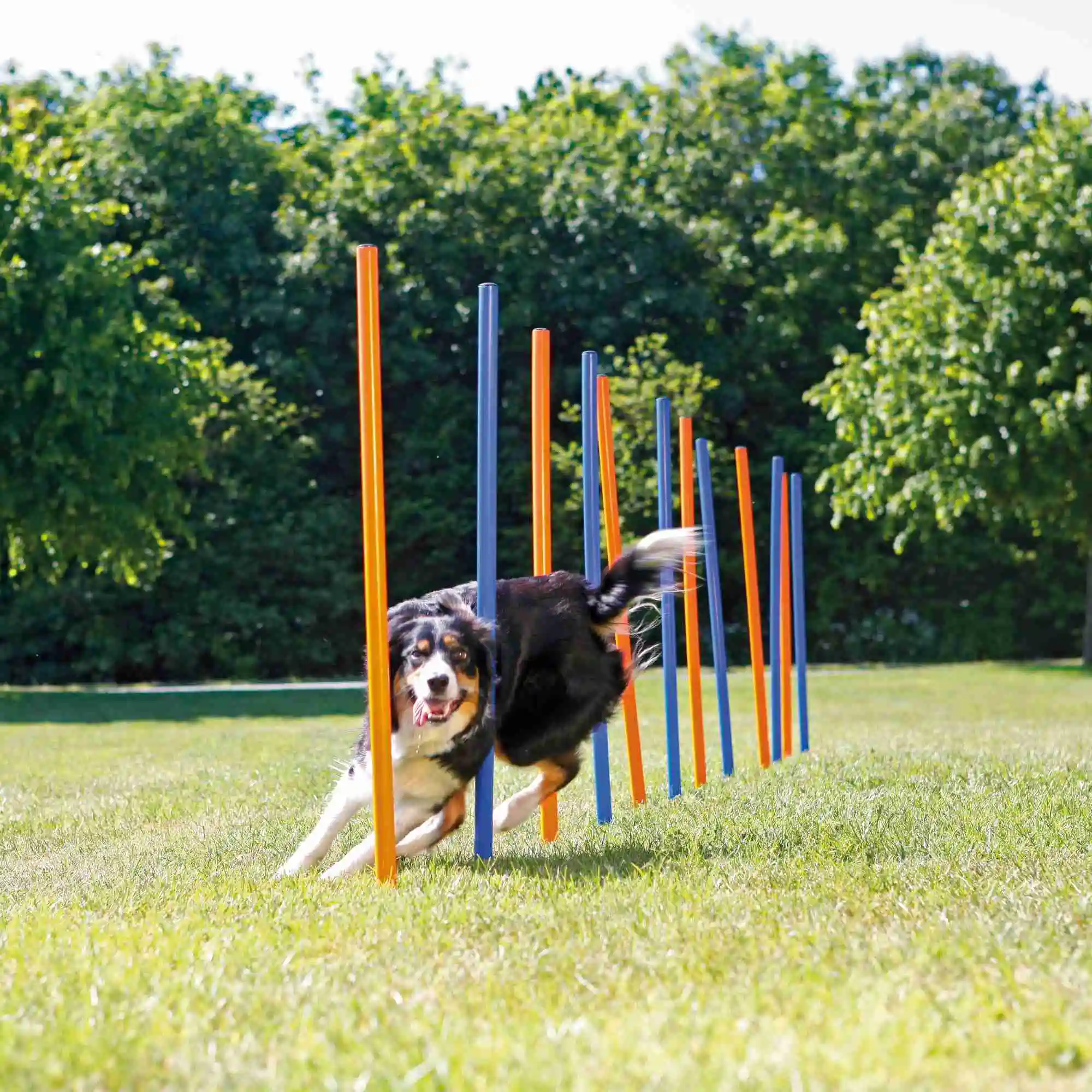 Trixie Slalom Fun Agility 5 Trixie Slalom Fun Agility – Image 3