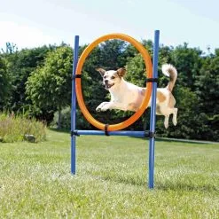 Trixie Fun Agility Anneau 7 Trixie Fun Agility Anneau -ROYAL CANIN Soldes cad8bc371e5482bac9a79dc43148760ac719992c4d78f9f0bddaf49c87e3169a