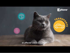 Zylkene Zylkène 225mg Chien De 10Kg à 30Kg -ROYAL CANIN Soldes capture d cran 2022 04 08 123358 3