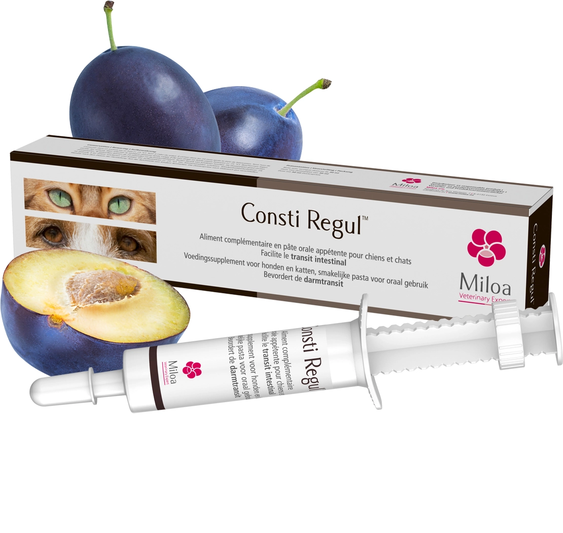 MILOA Consti Regul 30ml 4 MILOA Consti Regul 30ml – Image 2