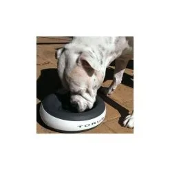 Gamelle Torus 10 Gamelle Torus -ROYAL CANIN Soldes d43a1c5921a872ca6f4ef398653b744d501e649c50dee22ac6cd064546c5f5fe