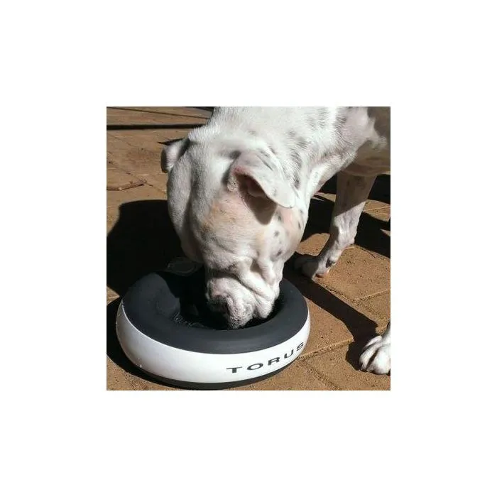 Gamelle Torus 6 Gamelle Torus – Image 4