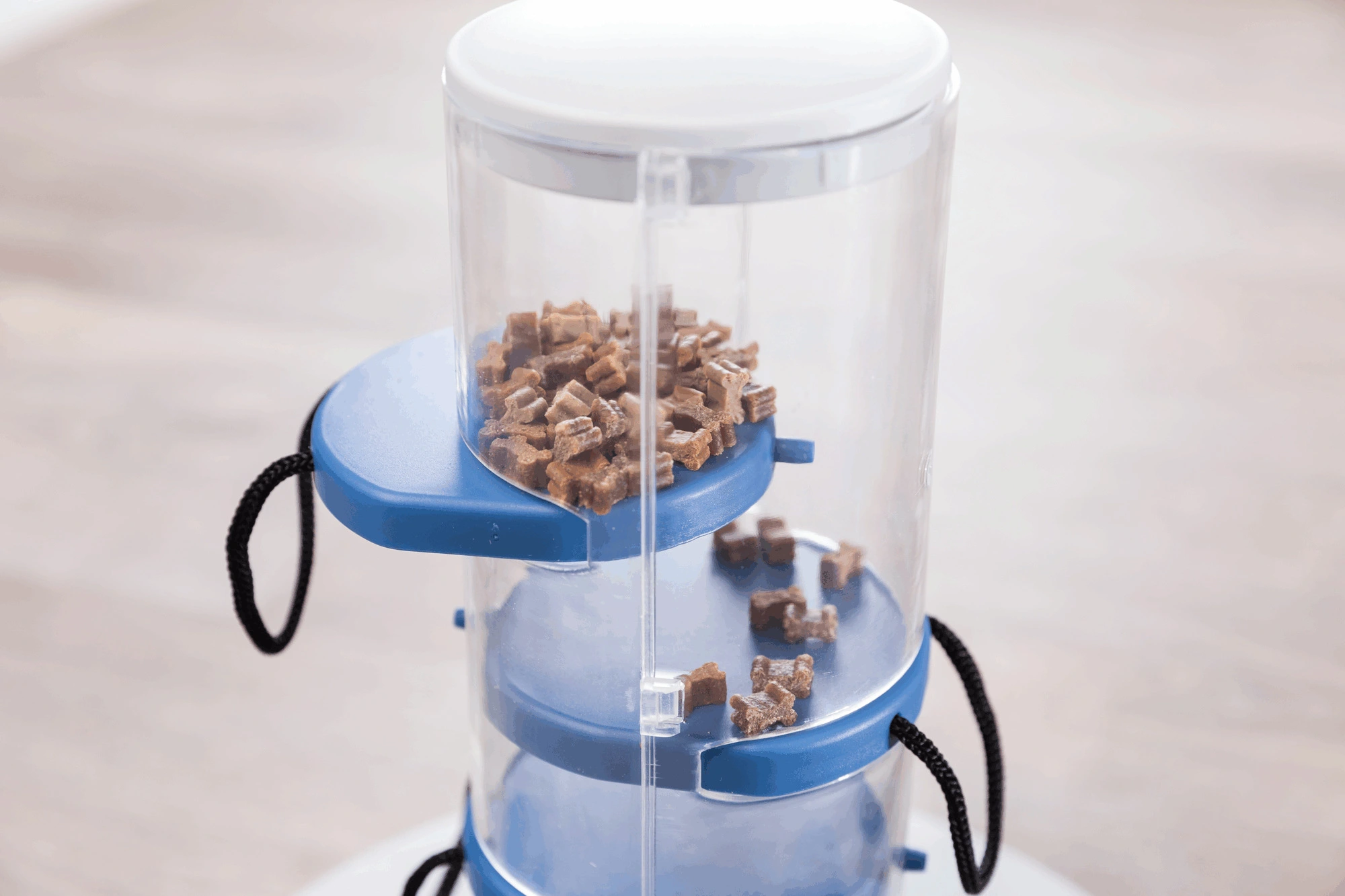 Trixie Jeu De Stratégie Pour Chien Tour De Jeu 4 Trixie Jeu De Stratégie Pour Chien Tour De Jeu – Image 2