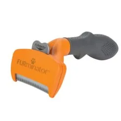 Furminator Brosse Chien Poils Courts 11 Furminator Brosse Chien Poils Courts -ROYAL CANIN Soldes e5c8ffc4a756c5ee96fd559b8ff97da37e1800d34598c8541a0801a07a857823 1