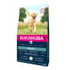 Eukanuba Adult Large Breed Pour Chien Agneau & Riz 12kg -ROYAL CANIN Soldes eukanuba adult large breed lamb