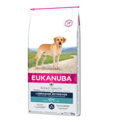 Eukanuba Labrador Retriever Pour Chien 12kg