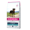 Eukanuba Rottweiler Pour Chien 12kg 1 Eukanuba Rottweiler Pour Chien 12kg -ROYAL CANIN Soldes eukanuba breed specific rottweiler adult new 1 1
