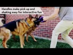 Jouet Kong Flexball -ROYAL CANIN Soldes hqdefault 7